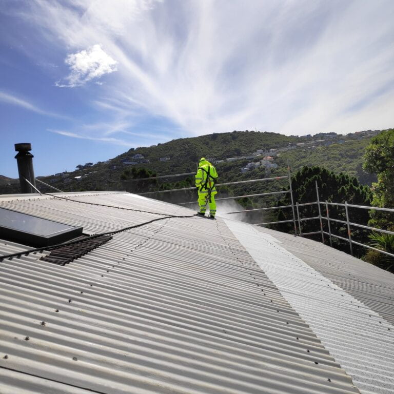 Commercial Roof Painting Service in Wellington