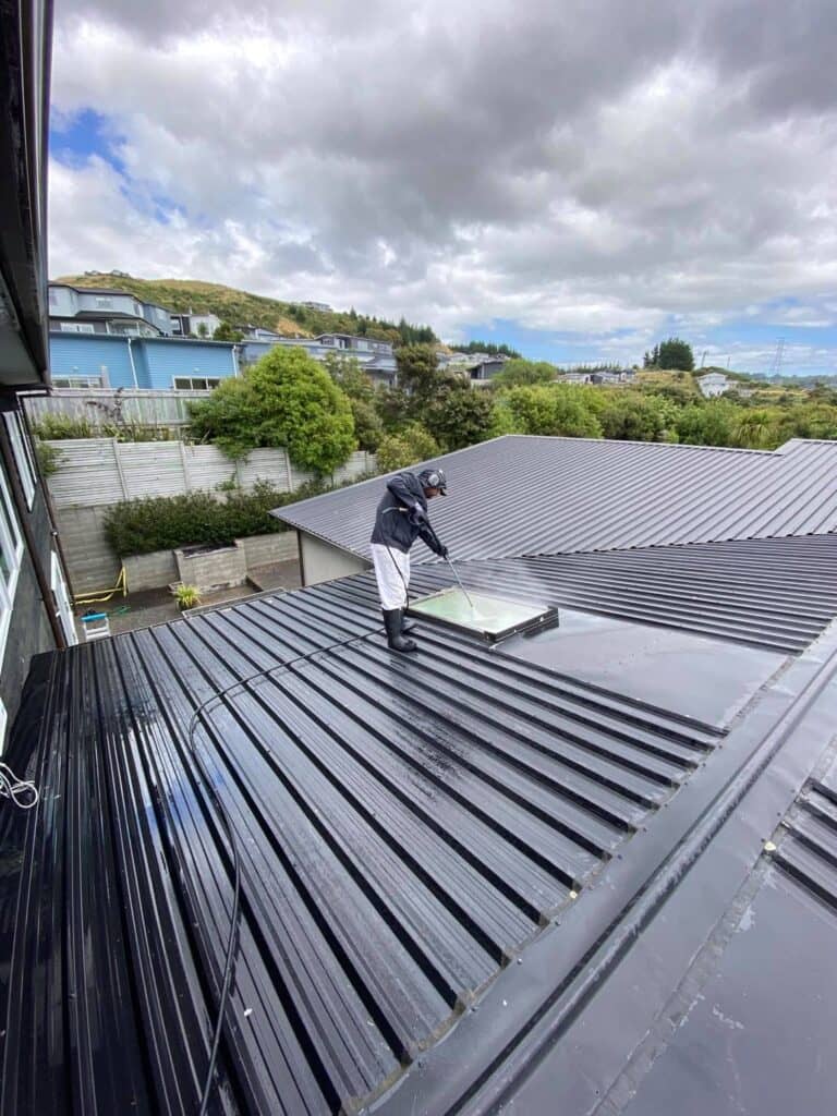 Water Window Plasting Service by 4 Seasons Painting in Wellington
