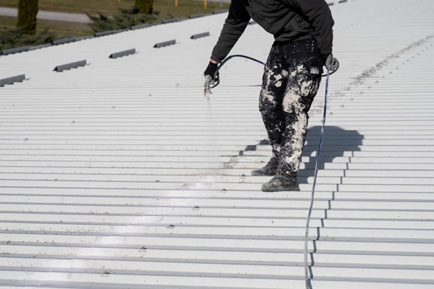 Roof Painting New Zealand