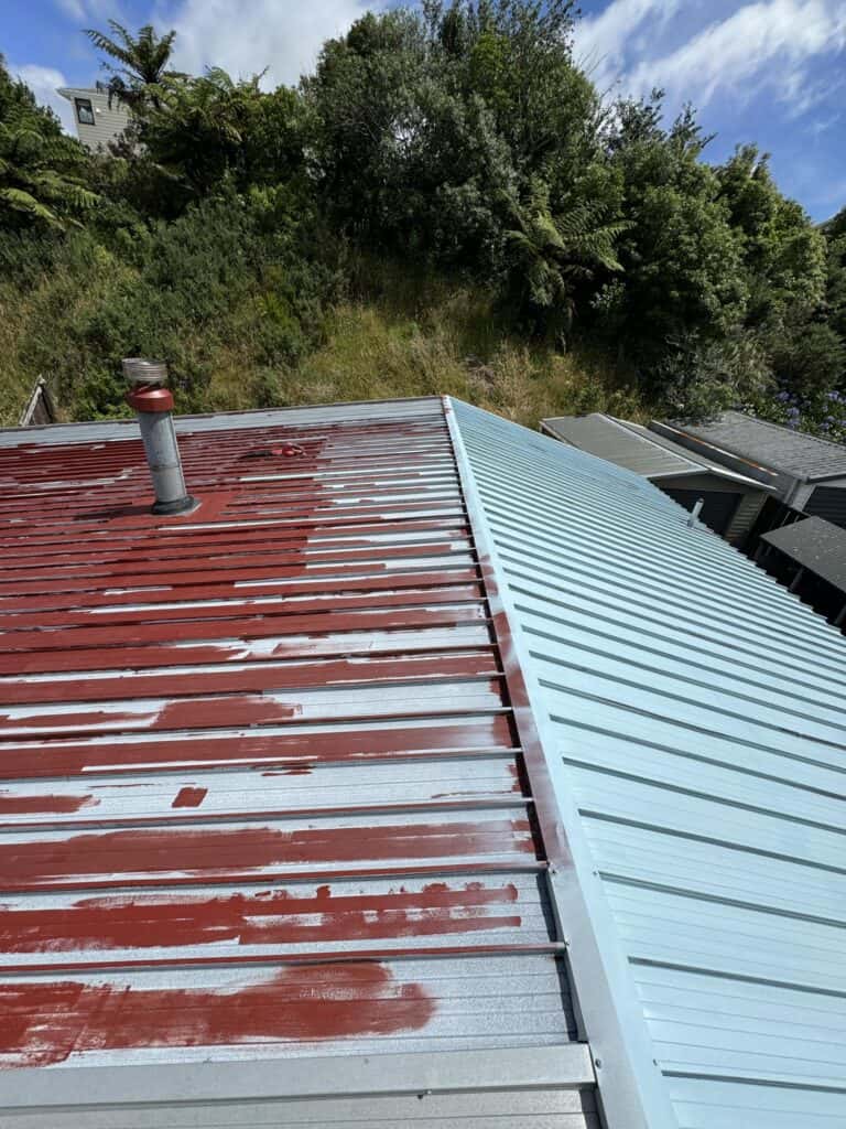 Professional Roof Painting Services by 4 Seasons Painting in Wellington