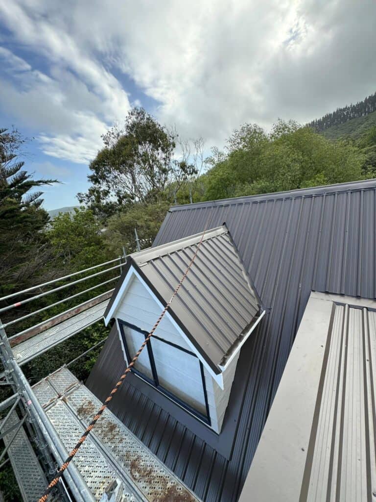 Roof Painting Services in Wellington