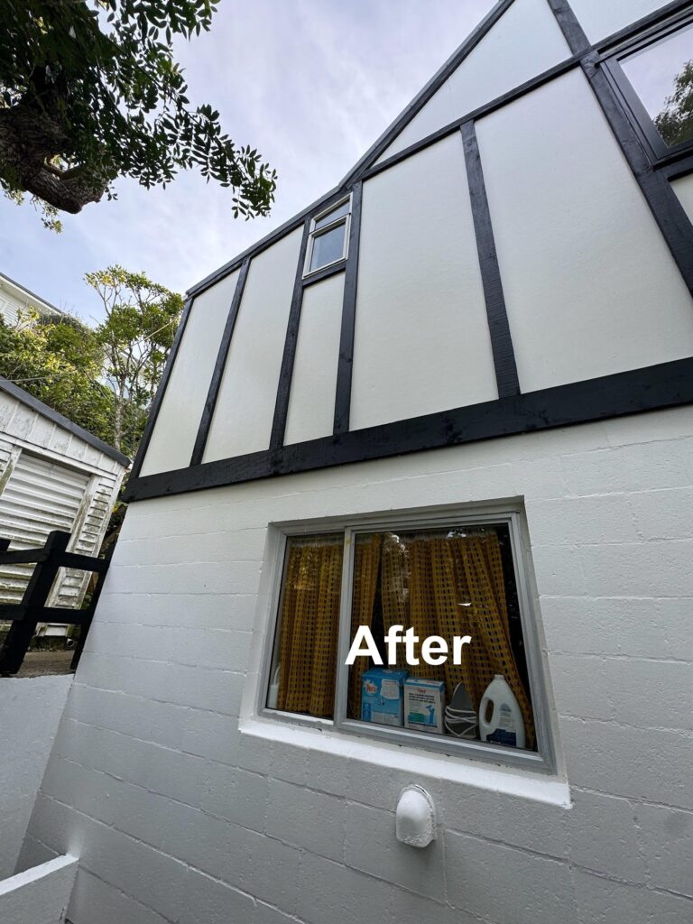 House After Exterior Painting Services in Wellington
