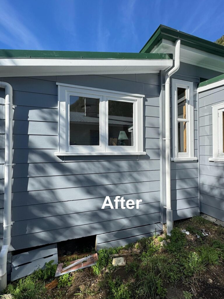 Residential Painting Services in Wellington