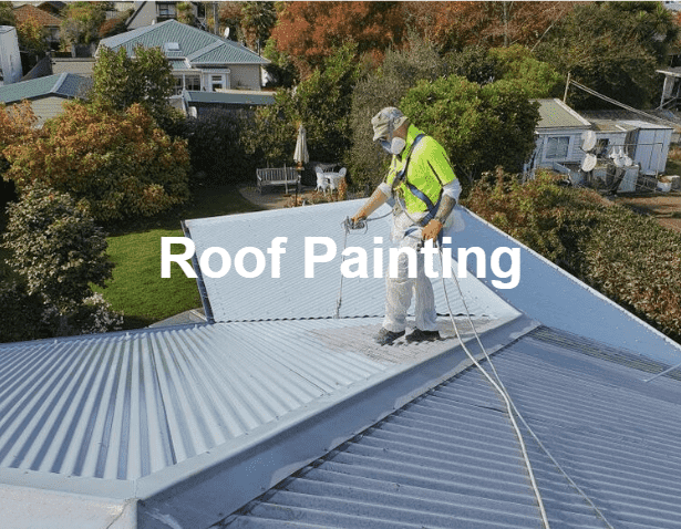 Roof Painting Services in Wellington