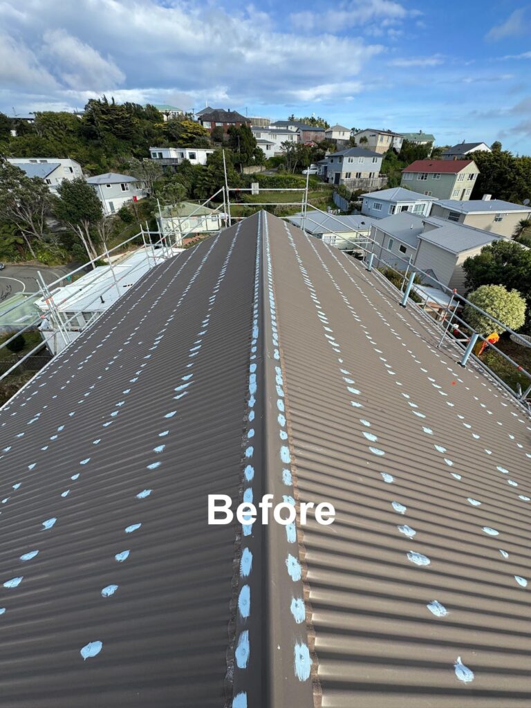 Roof Painting Specialist in Wellington