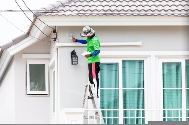 Reliability in Painting Services in Wellington