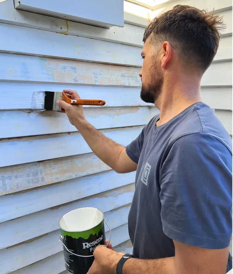 Local Professional Painters in Wellington