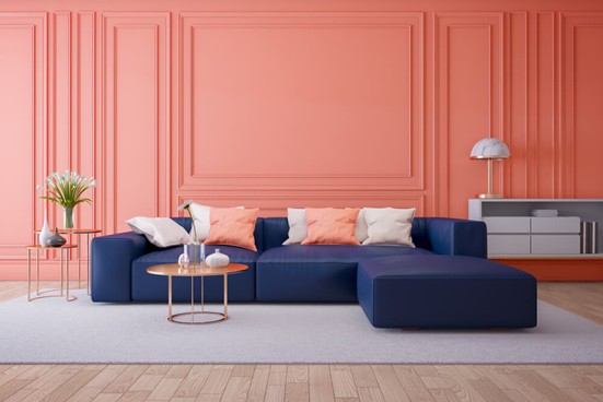 Interior Paint Colour Trends in Wellington