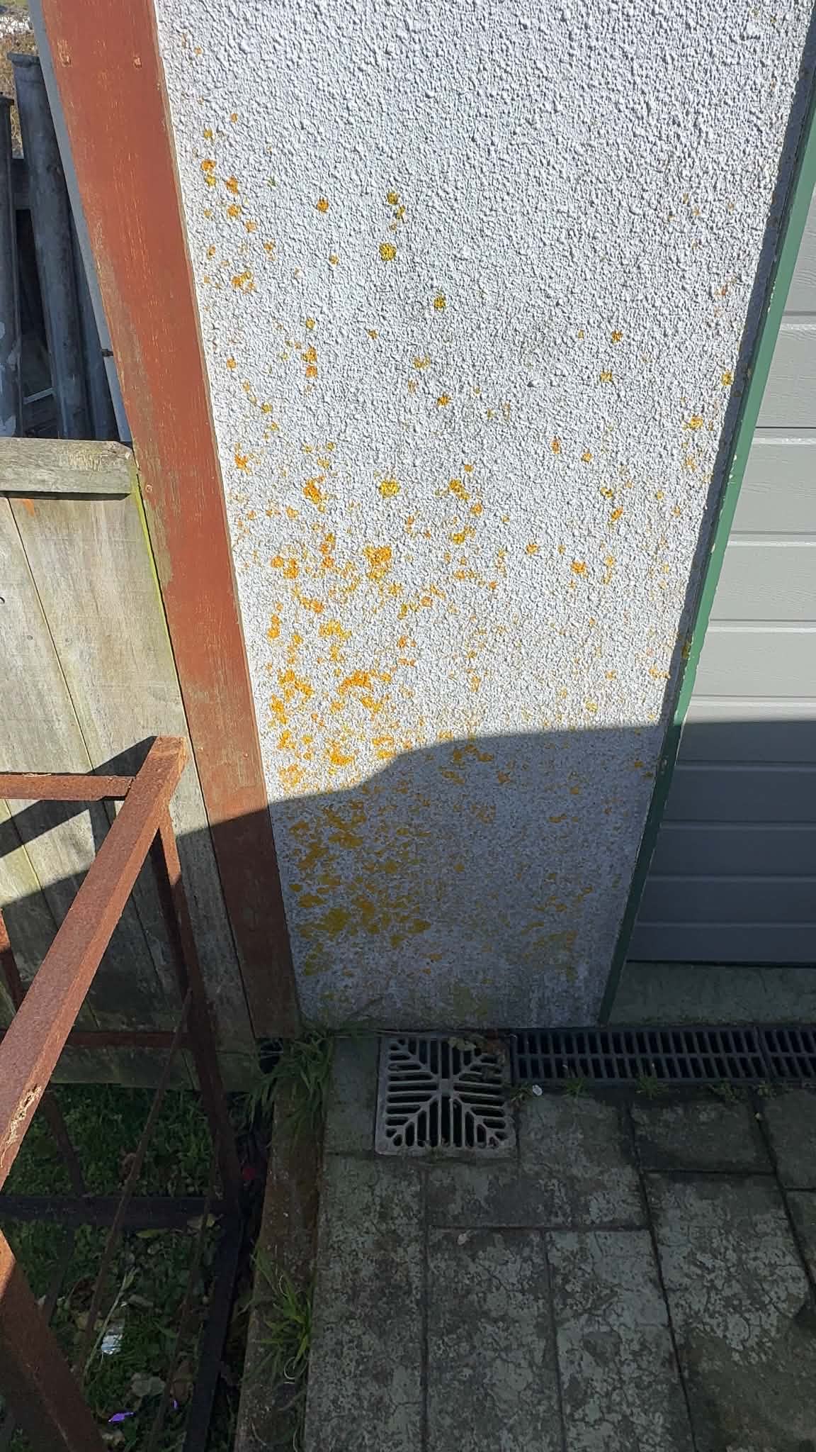 Before image showing faded exterior cedar cladding.