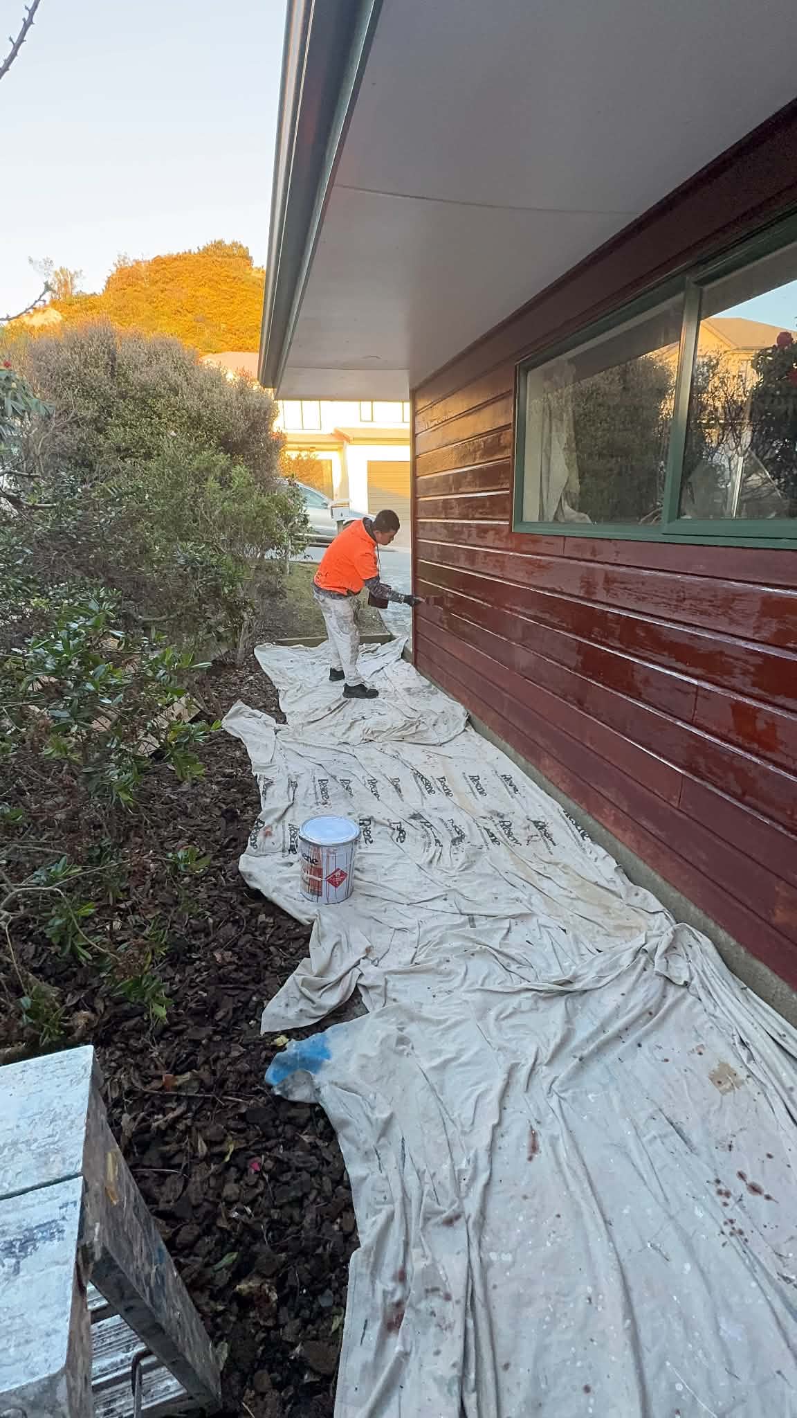 Cedar preparation and staining work in progress.